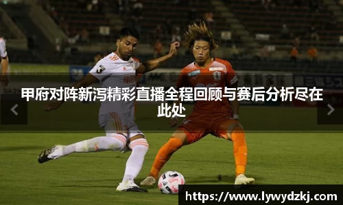 甲府对阵新泻精彩直播全程回顾与赛后分析尽在此处