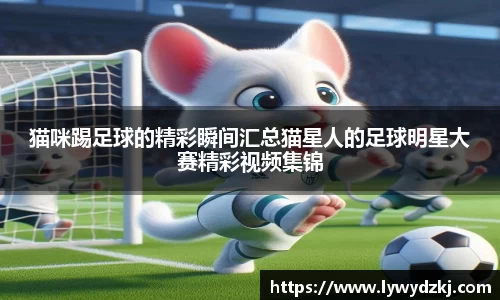 猫咪踢足球的精彩瞬间汇总猫星人的足球明星大赛精彩视频集锦